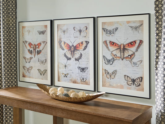 Orange Furniture Outlet - Ashley Furniture - Jossletts Wall Decor - Wall Art Set (3/CN) / Orange/Black/Ivory - A8000490