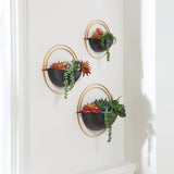 Wall Planter Set (3/CN)