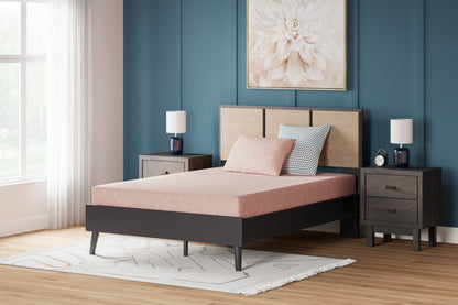 Orange Furniture Outlet - Ashley Furniture - iKidz Coral Mattresses - Twin and Pillow 2/CN / Coral - M43111