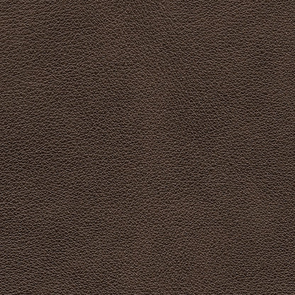 Crossplex Living Room